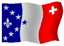 Site de drapeaux animés